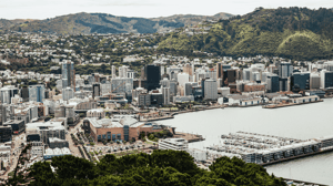 Wellington web size (1)