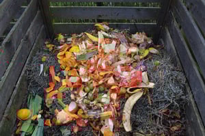 green-waste-513609_1920