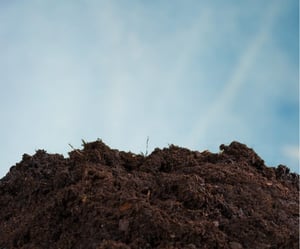 soil