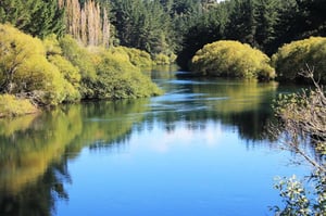 WasteMINZ_bg-River